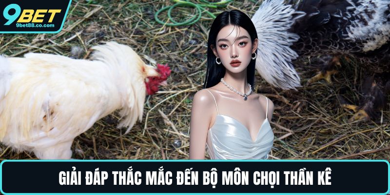 Giải đáp thắc mắc đến bộ môn chọi thần kê