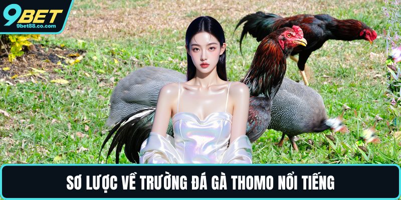 Sơ lược về trường đá gà Thomo nổi tiếng