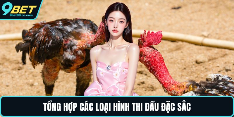 Tổng hợp các loại hình thi đấu đặc sắc