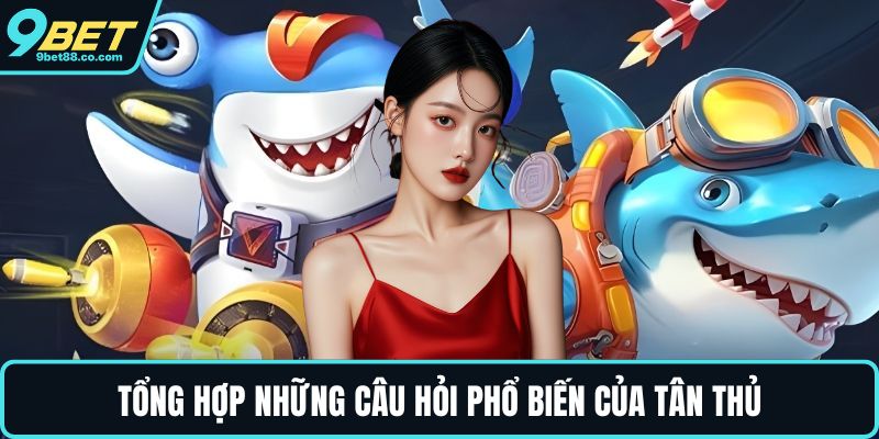 Tổng hợp những câu hỏi phổ biến của tân thủ